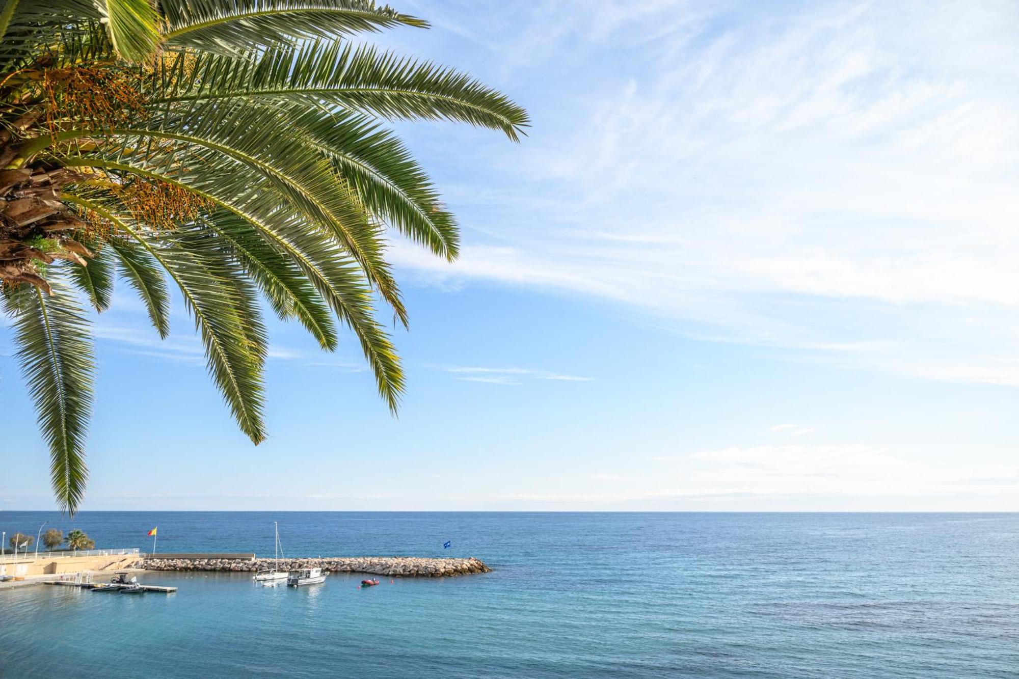 Le Coq Ligures - Air Conditioning - Seafront - Wifi Roquebrune-Cap-Martin Exterior foto